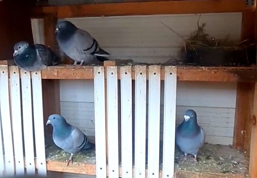 Screenshot_20211114-173028_Gallery - 2021