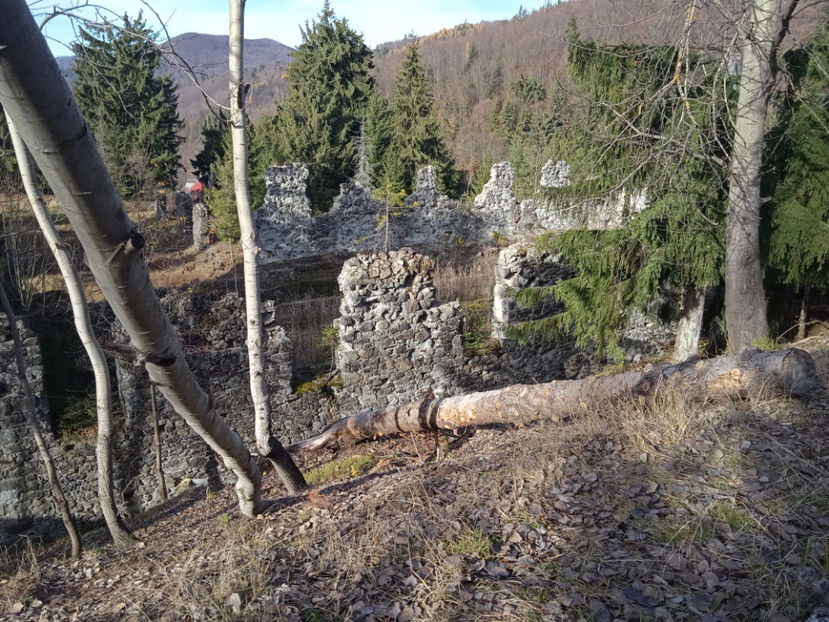  - Cascada Piciorul Calului din Cavnic