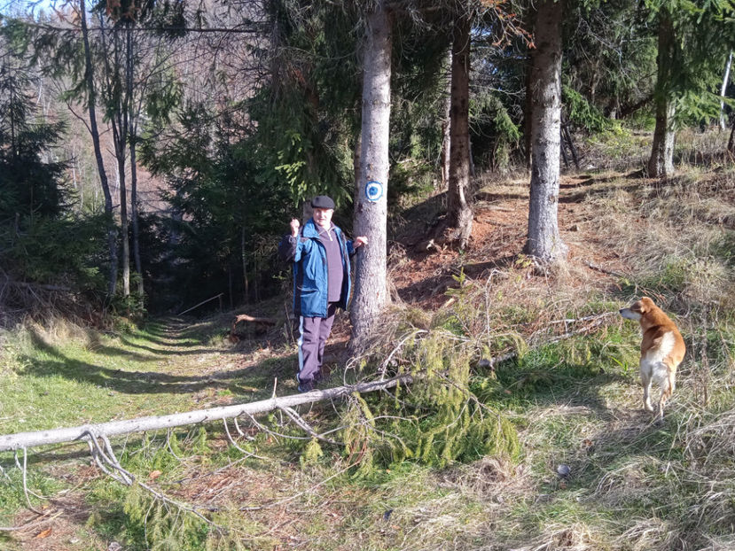  - Cascada Piciorul Calului din Cavnic