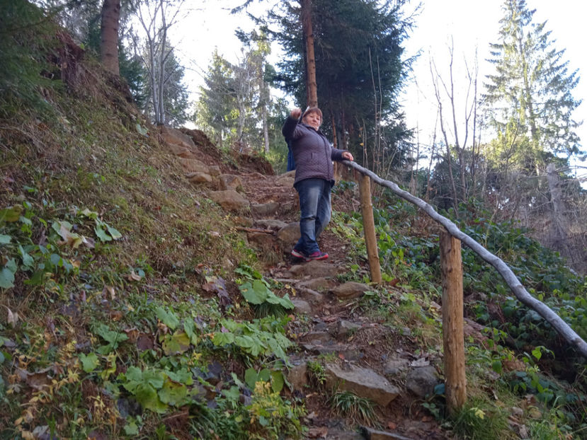  - Cascada Piciorul Calului din Cavnic