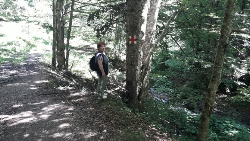  - Cheile Moara Dracului