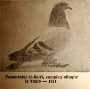  - Voiajor standard ce era o data