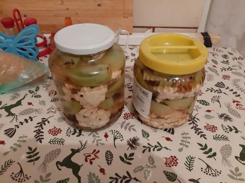  - Gogonele la murat de Iarnă cu Conopidă 2021!