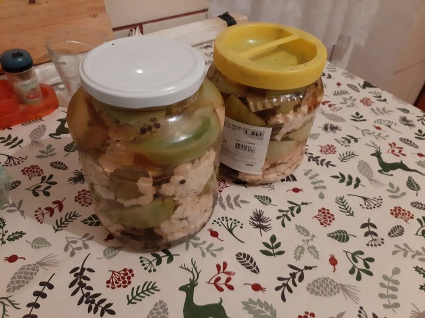  - Gogonele la murat de Iarnă cu Conopidă 2021!