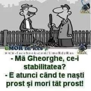  - Divertisment 6