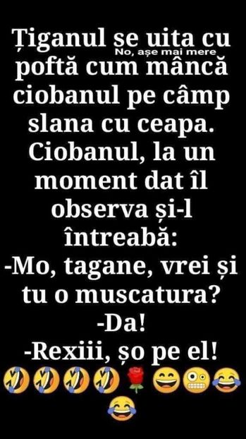  - Divertisment 6
