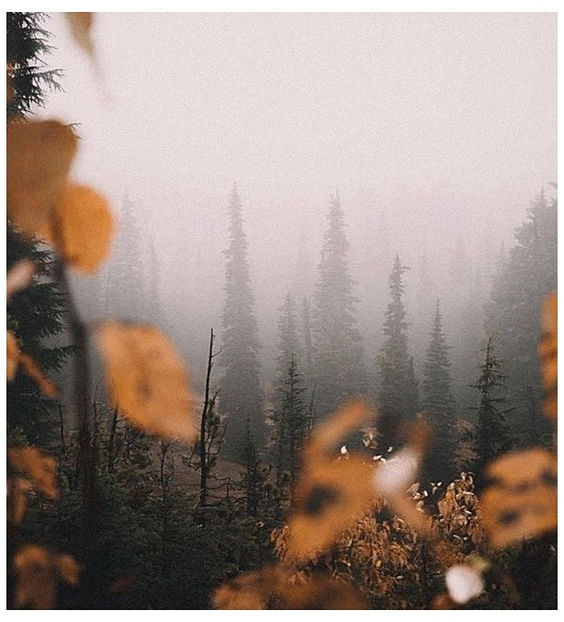 ♡ November 16 » „Dancing on the edge, bout to take it too far.. It s messing with my head - Tomnatic și nostalgic