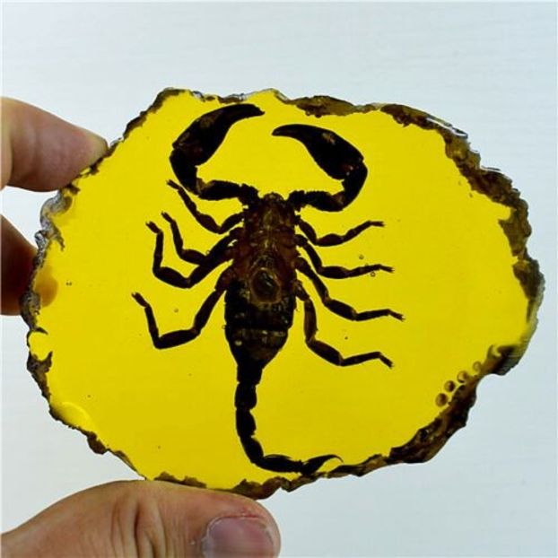 A179 - Brelocuri medalioane etc