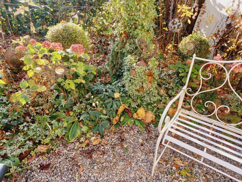  - Grădina 2021 continuare 3