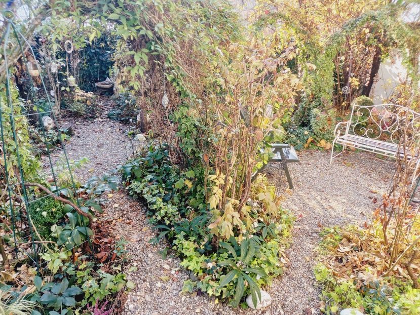  - Grădina 2021 continuare 3