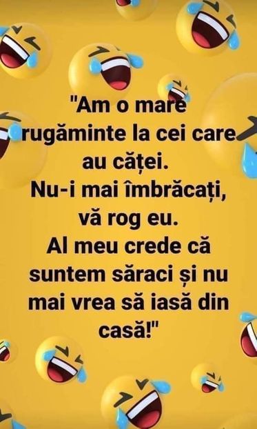  - Divertisment 6