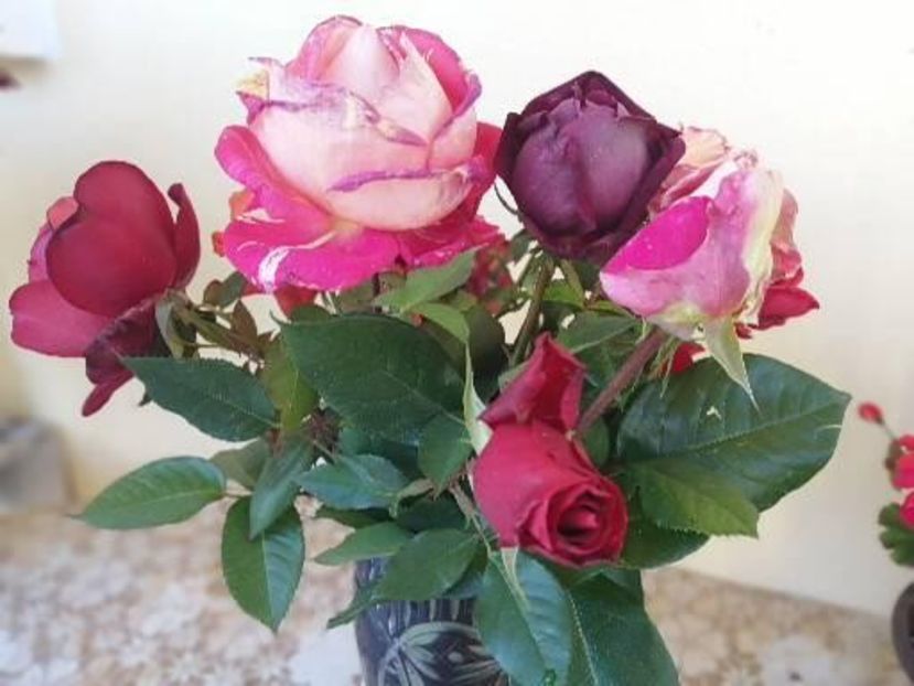  - Frumuseti la casa parinteasca