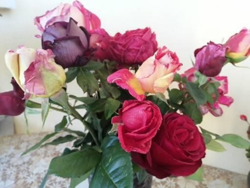  - Frumuseti la casa parinteasca