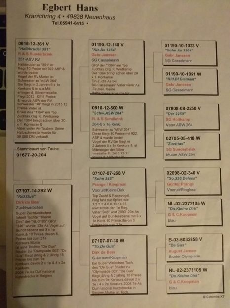 204ped - Achizitii porumbei -2021