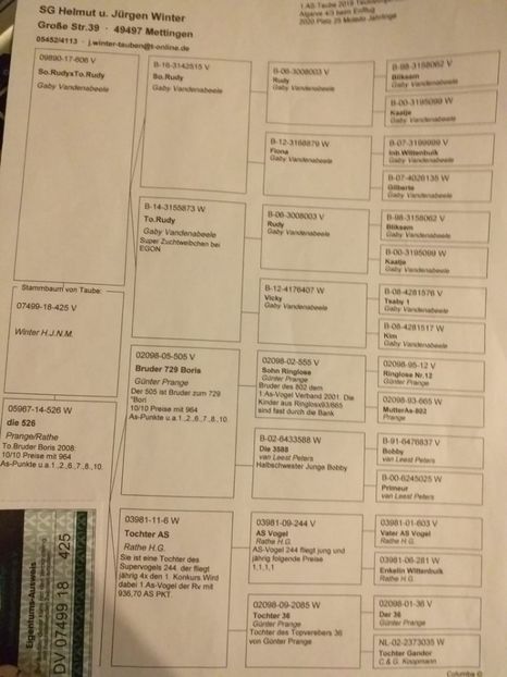 425ped - Achizitii porumbei -2021