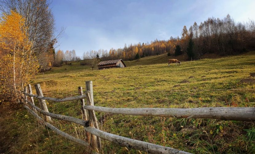  - 24 Măgura-Brașov octombrie 2021