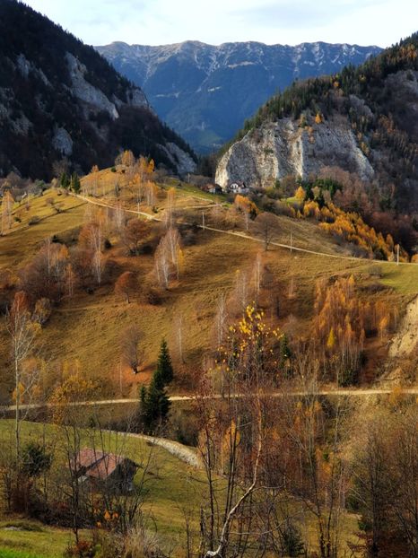  - 24 Măgura-Brașov octombrie 2021
