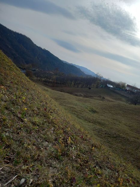 IMG-20211108-WA0006 - 9 Natura 2014-2015-2021