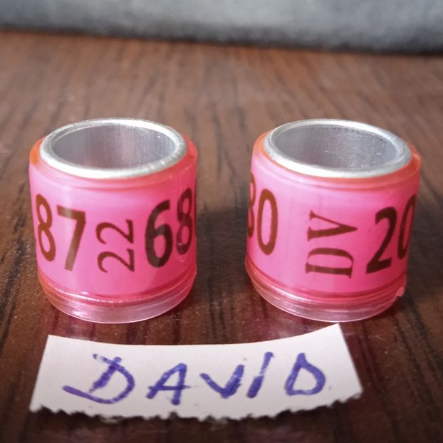 2022-DV fara talon....-1 leu - Inele 2014