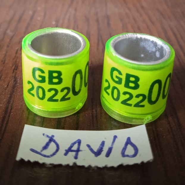 2022-GB fara talon...-1 leu - Inele 2014