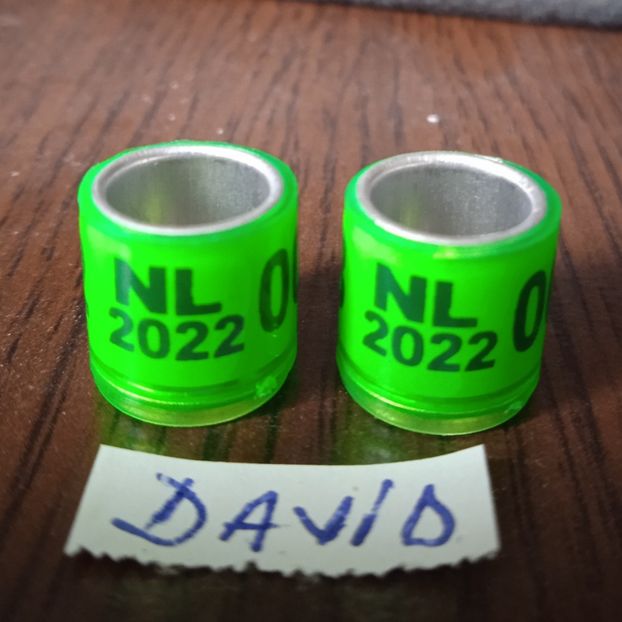 2022-NL fara talon ...-1 leu - Inele 2014