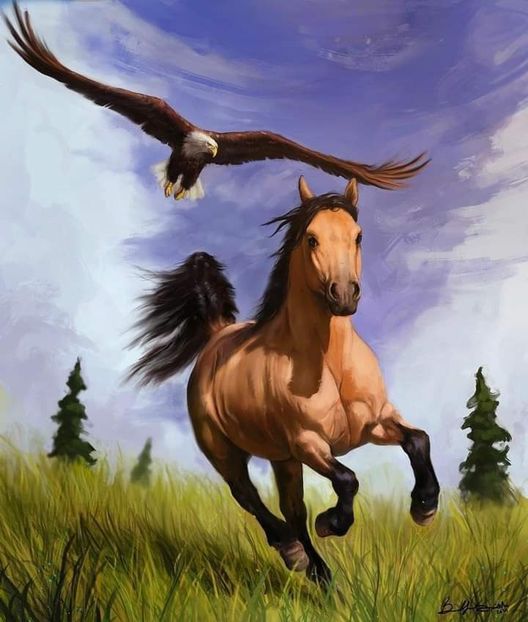  - Cai animale nobile