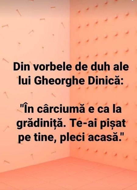  - Divertisment 6