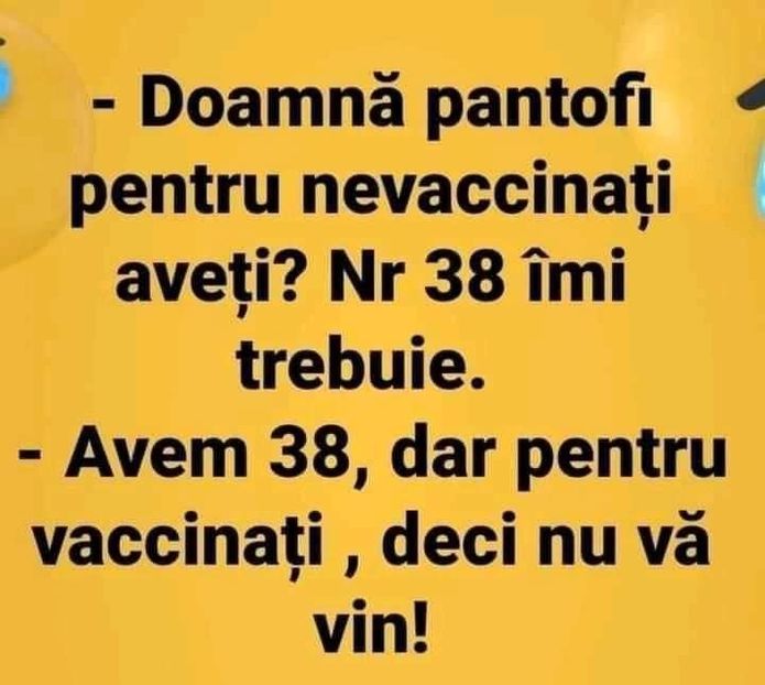  - Divertisment 6