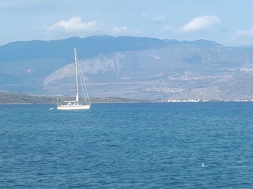  - 2019