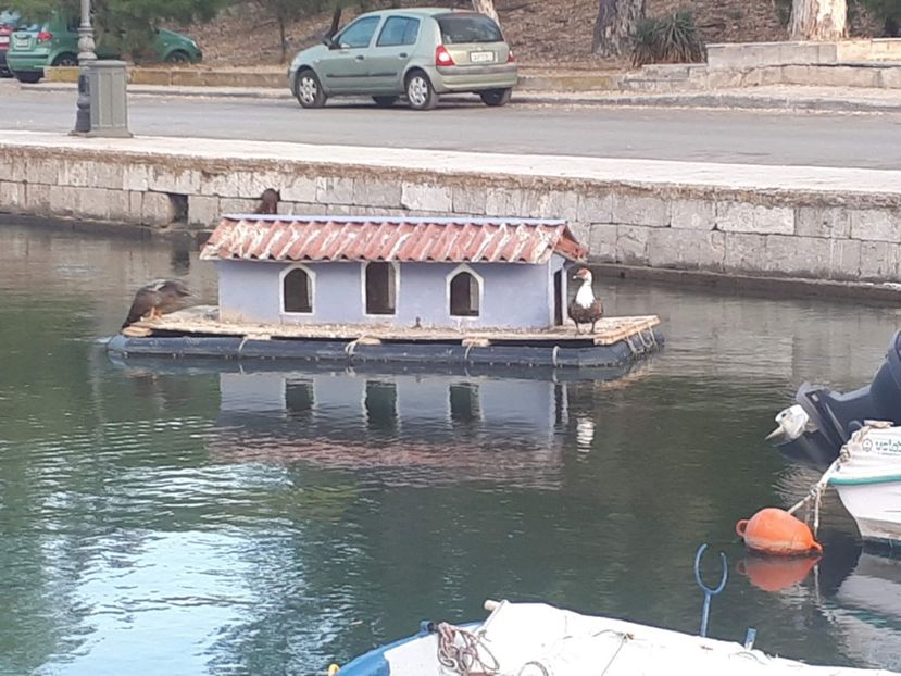  - 2019