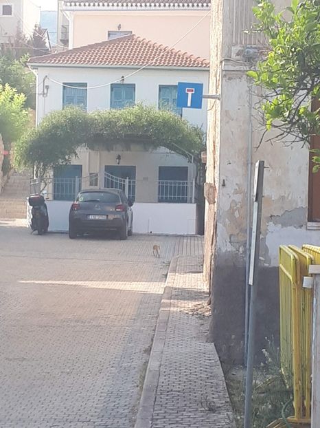  - 2019