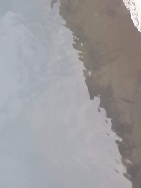 - 2019
