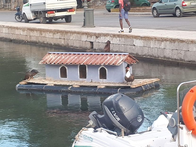  - 2019
