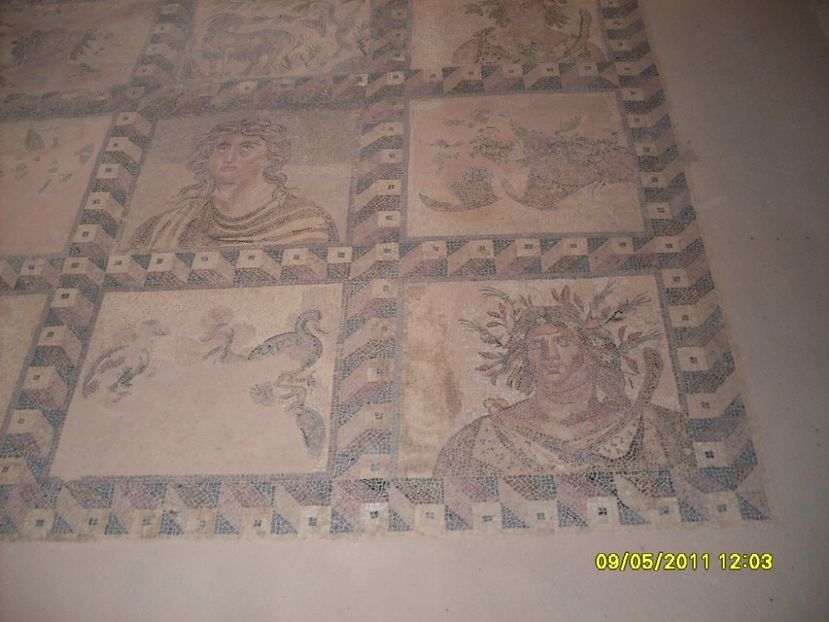  - 2011 Paphos