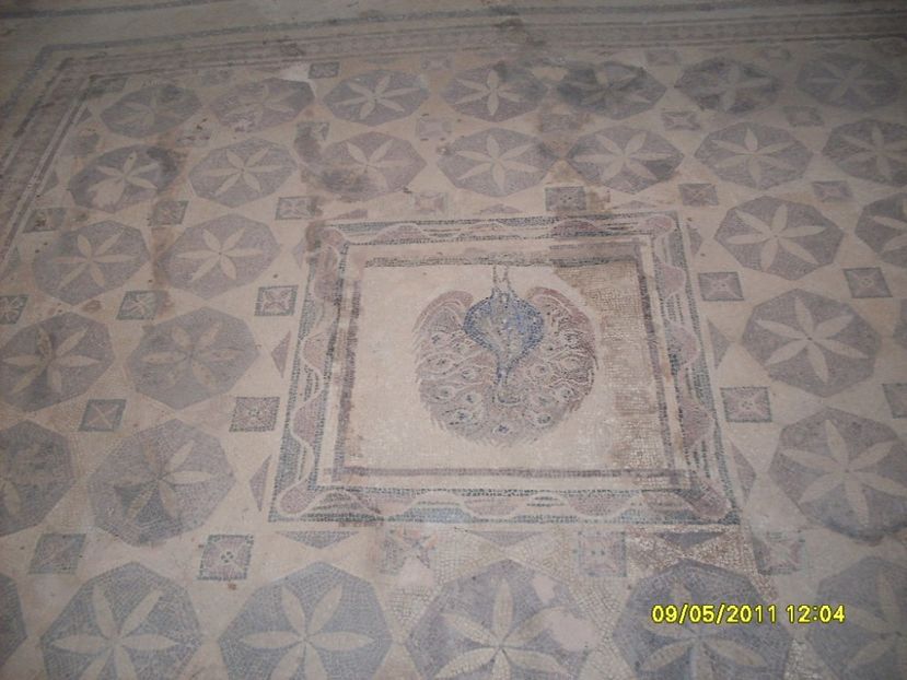  - 2011 Paphos