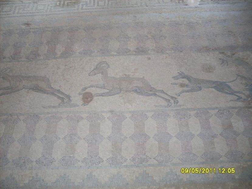  - 2011 Paphos