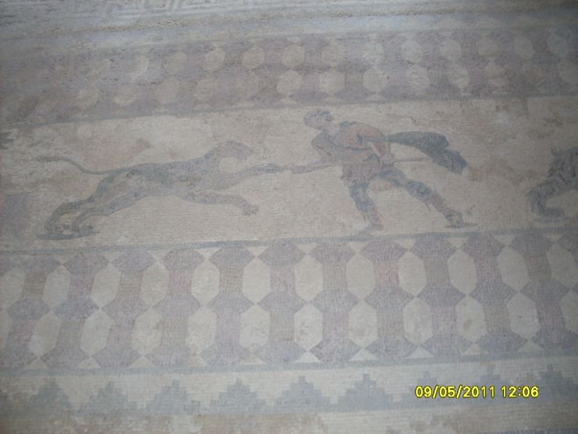  - 2011 Paphos