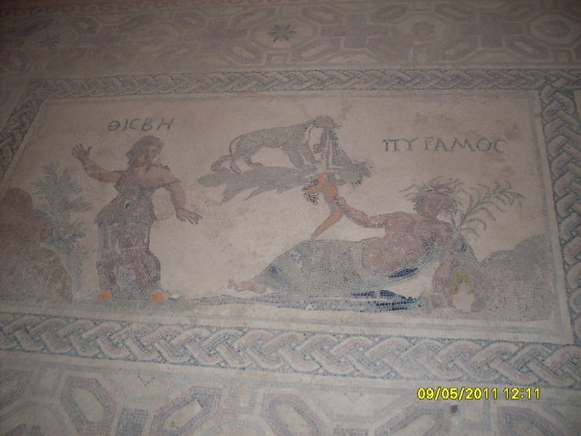  - 2011 Paphos