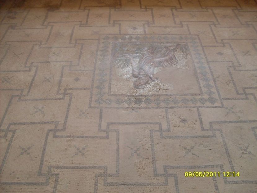  - 2011 Paphos