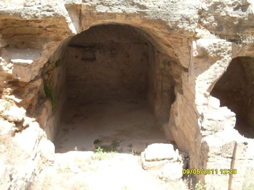  - 2011 Paphos