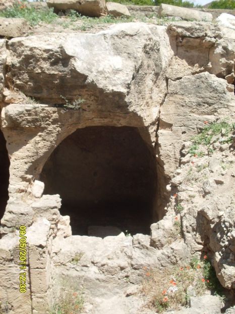  - 2011 Paphos