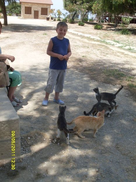  - 2011 Paphos