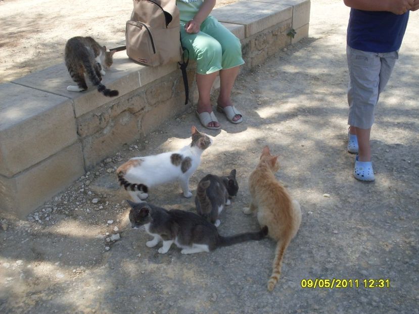  - 2011 Paphos