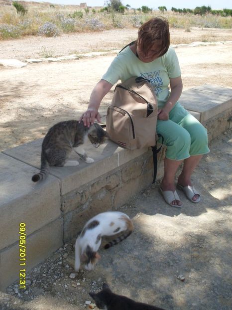  - 2011 Paphos