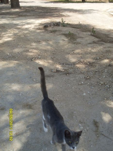  - 2011 Paphos