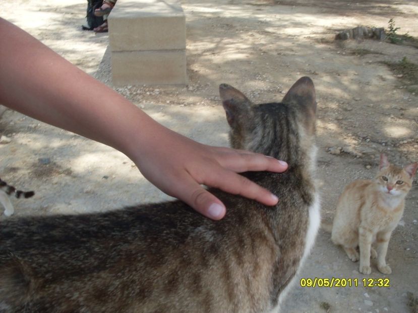  - 2011 Paphos