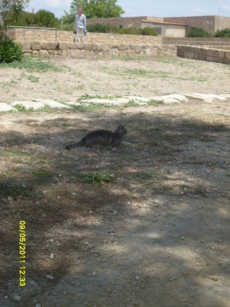  - 2011 Paphos