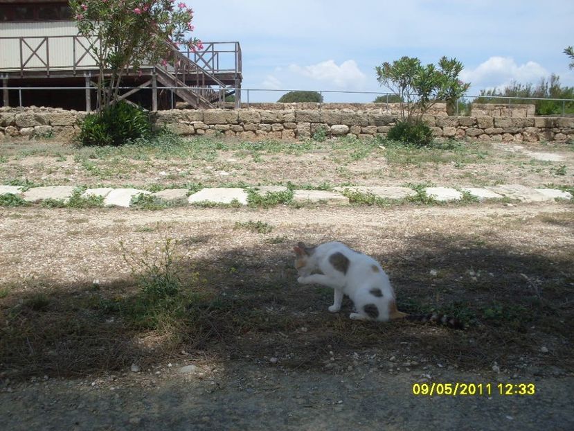  - 2011 Paphos