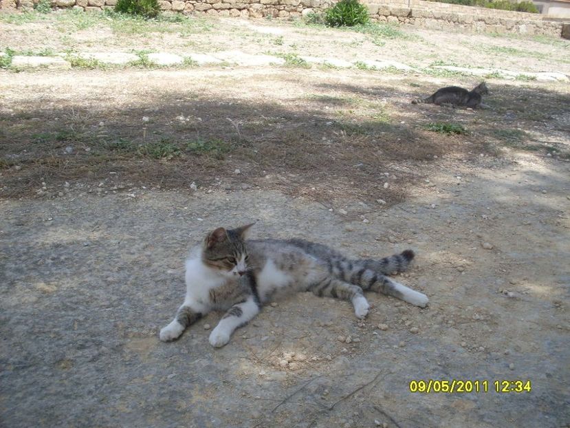  - 2011 Paphos