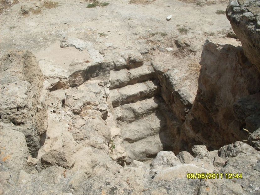  - 2011 Paphos